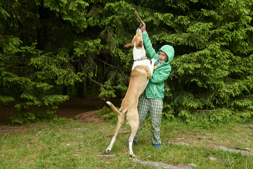 a girl raises a stick eye above her head as if to keep it away from her dog and the large dog jumps to reach it putting the dog’s front legs on the girl’s shoulders.