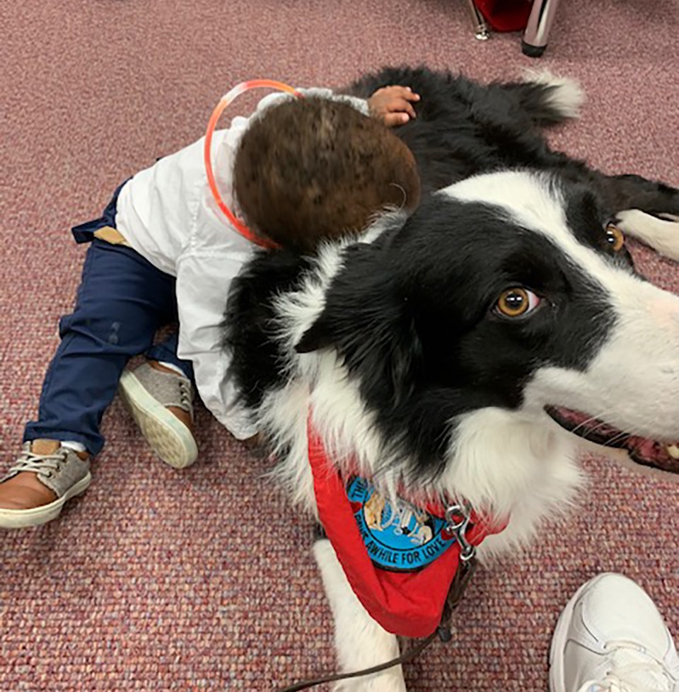A Border Collie therapy dog lies on the carpet of a school library, looking toward the camera where his unseen handler stands. Beside the dog’s back a preschool boy has fallen asleep with his arms draped over the dog’s back and his head resting there also.