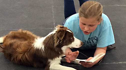 Teenage girl lies on the floor with book open as if reading to the Border Collie that lies next to her.