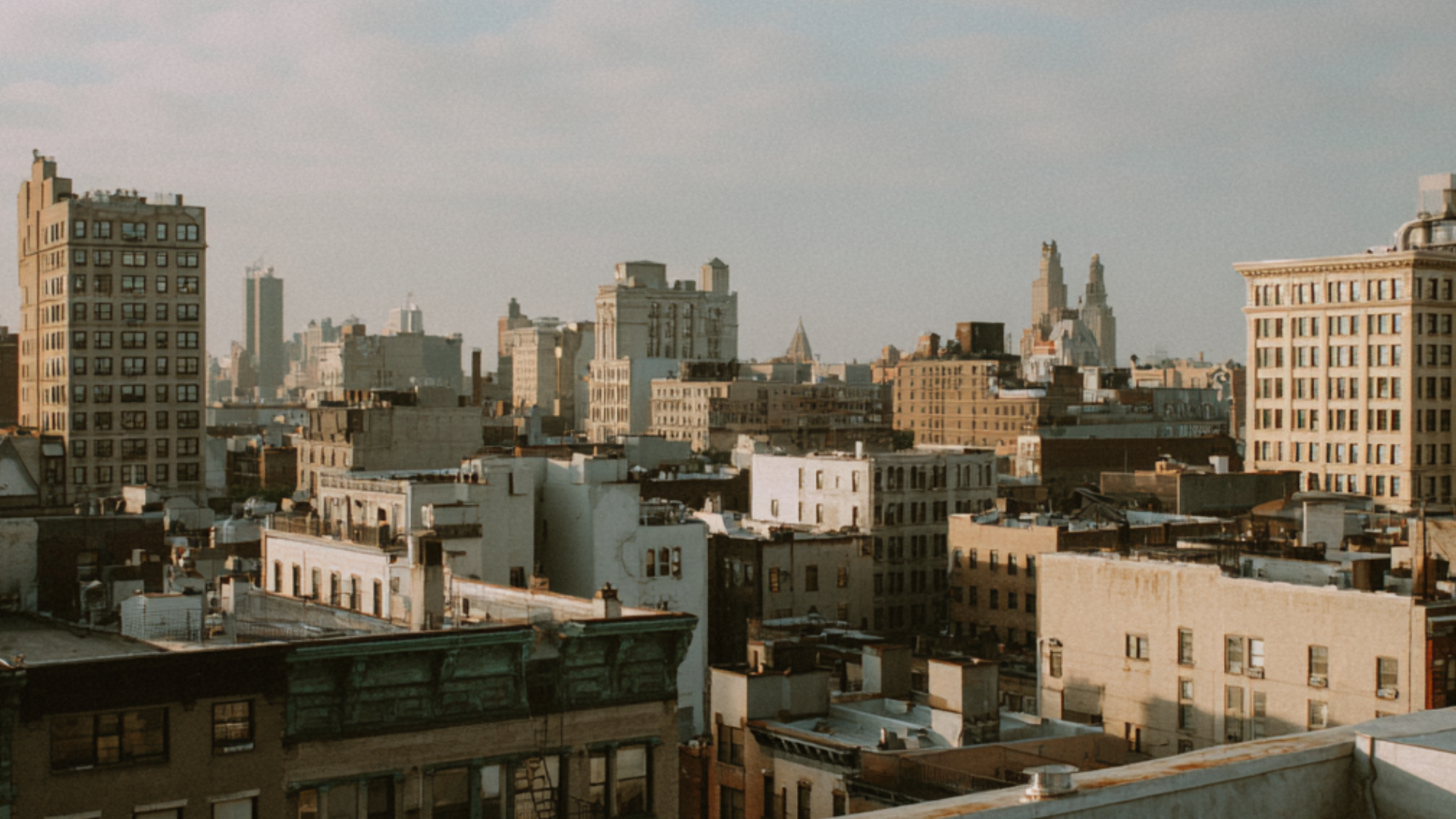 Revert Cannabis New York: A Retro-Modern Take on Buying Cannabis in NYC