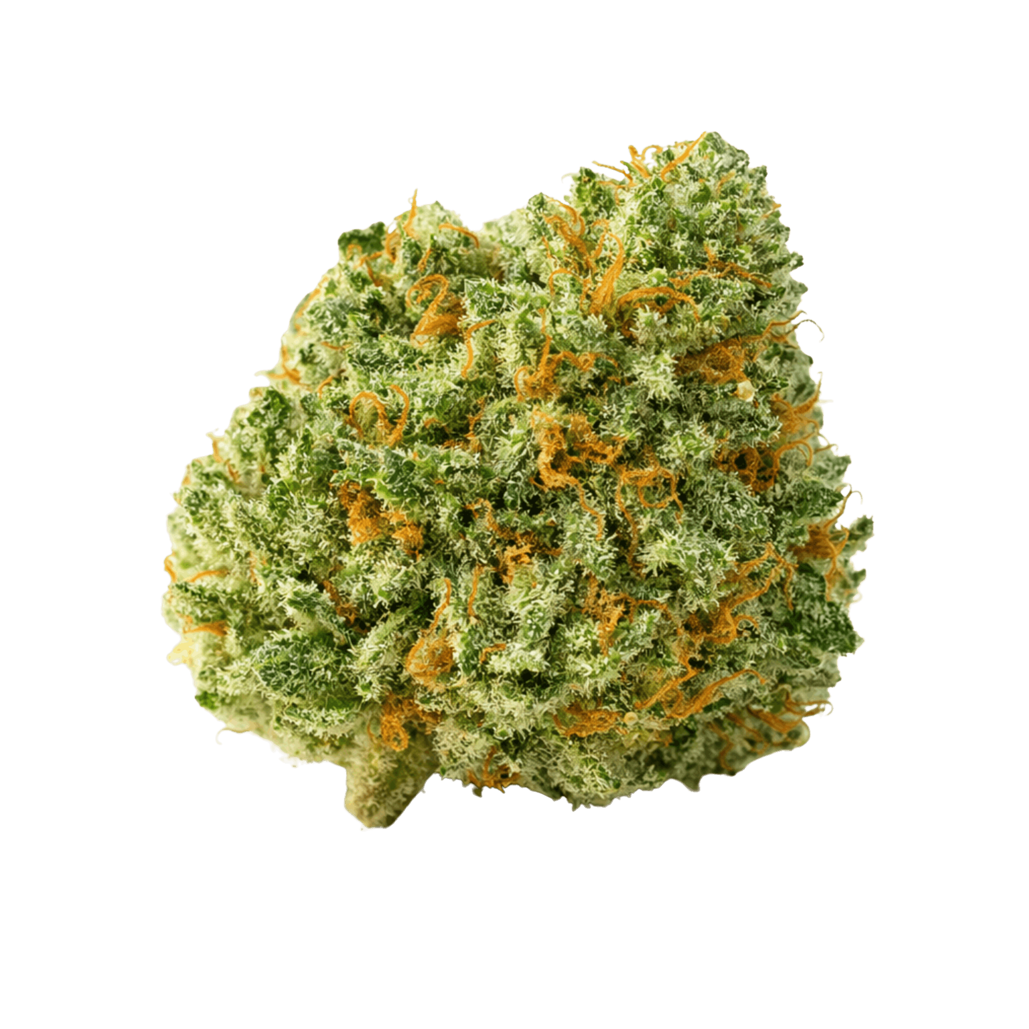 Presidential krush strain revert nyc