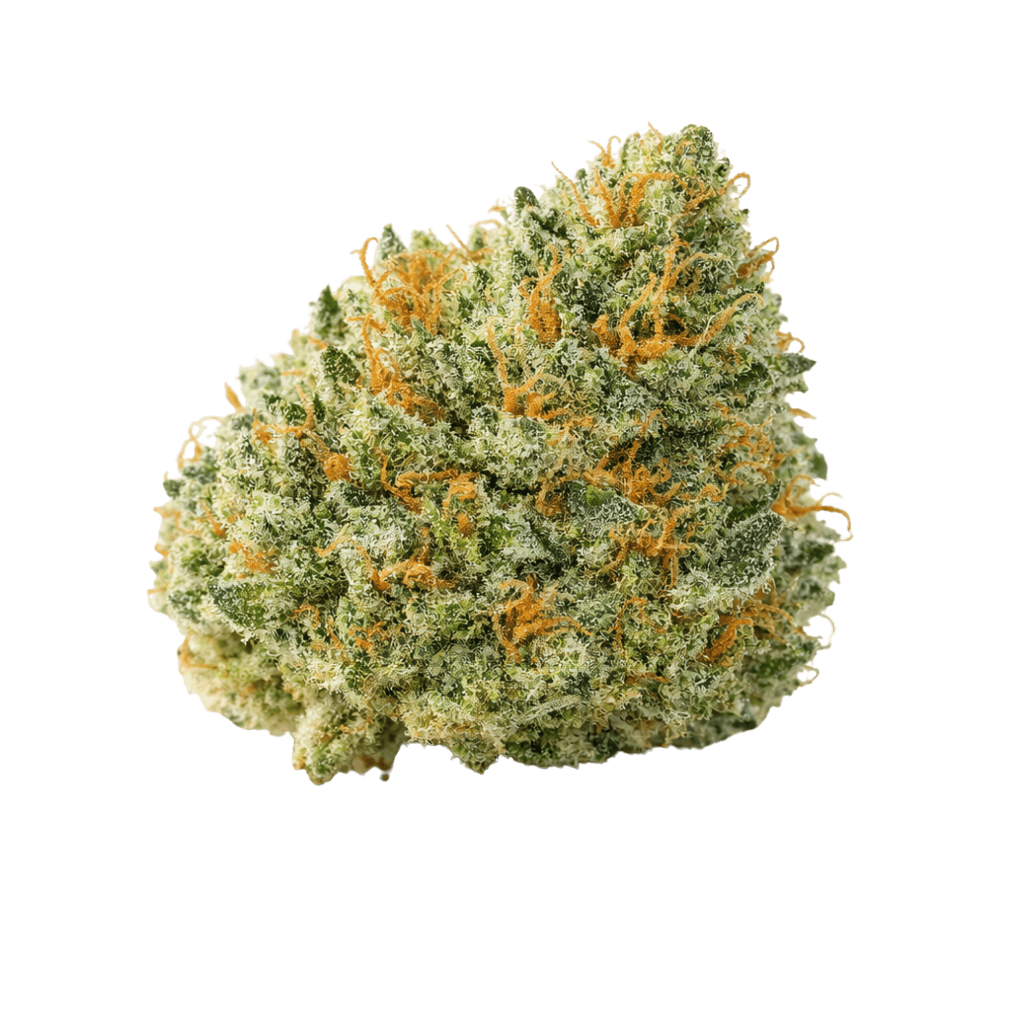 Presidential krush strain revert nyc