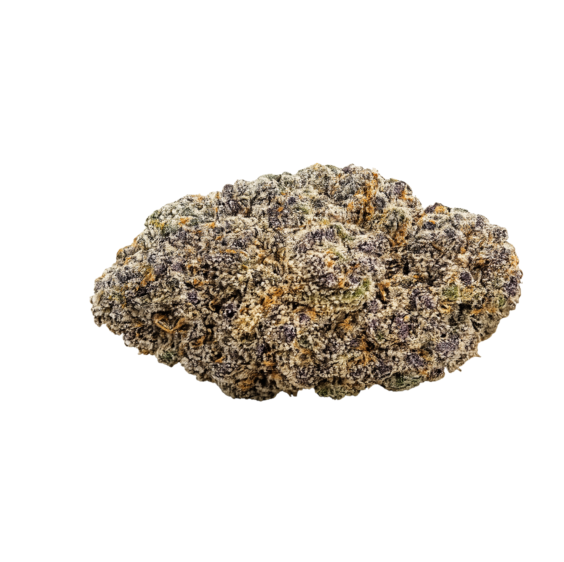 Presidential krush strain revert nyc