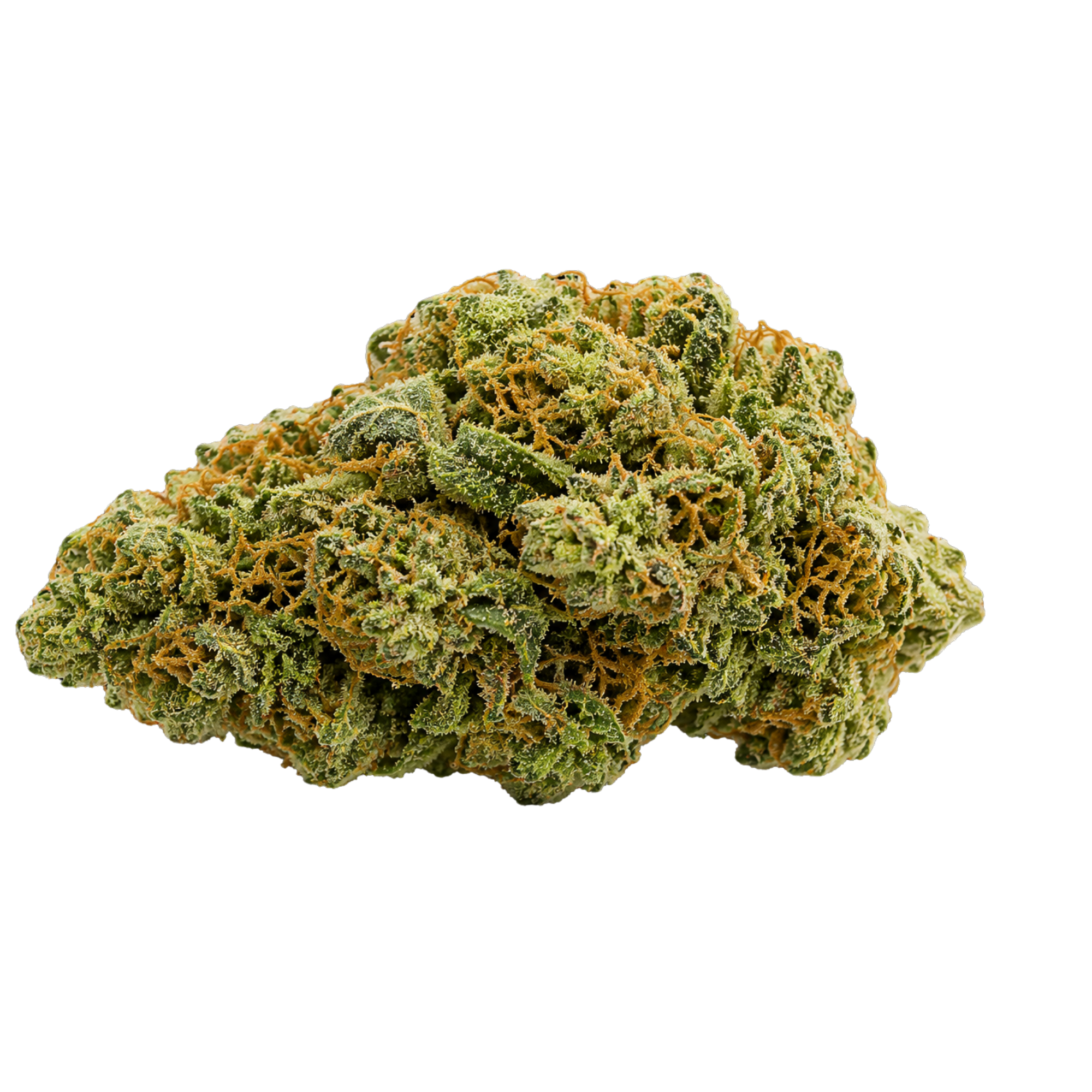 Hawaiian Dream