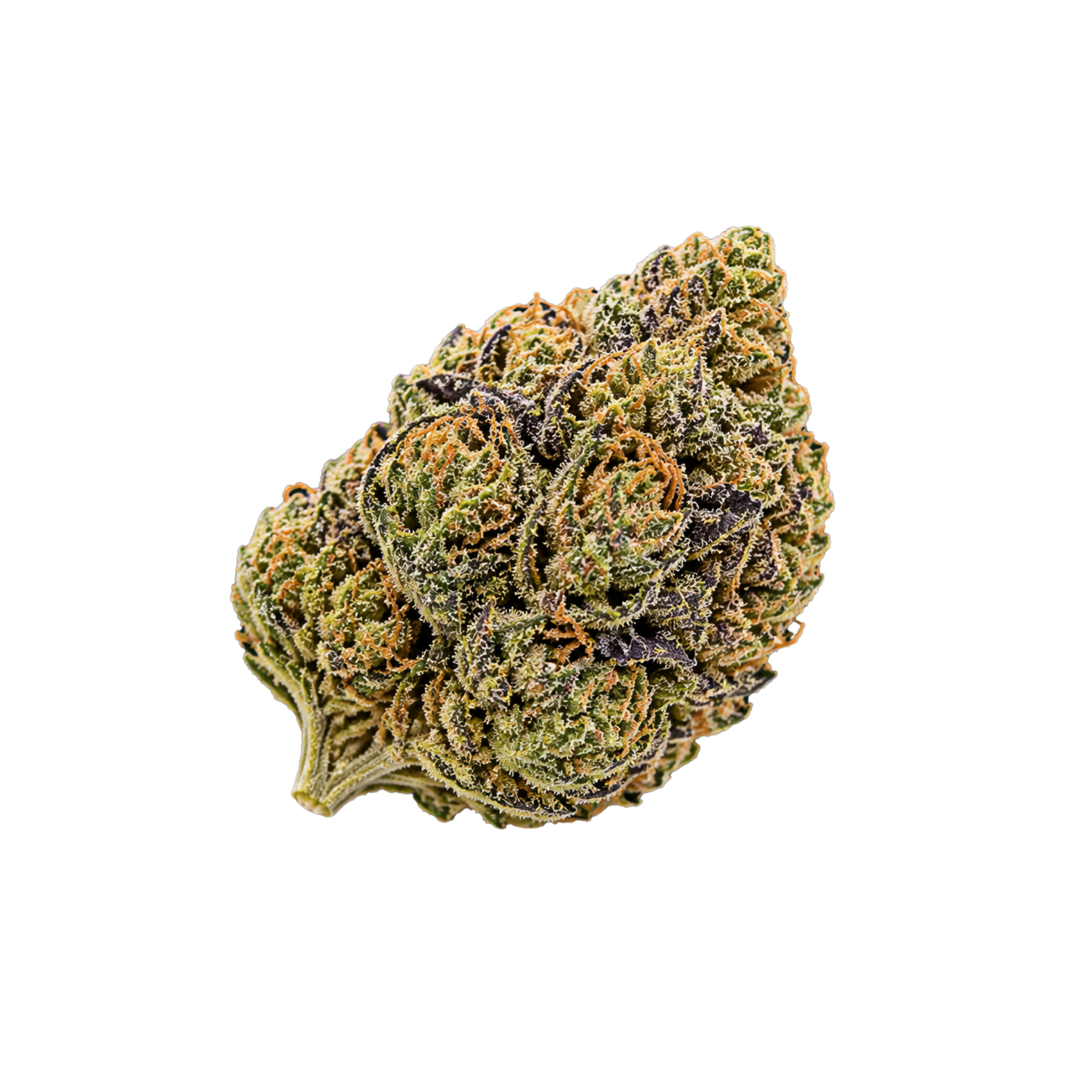 Golden Berry