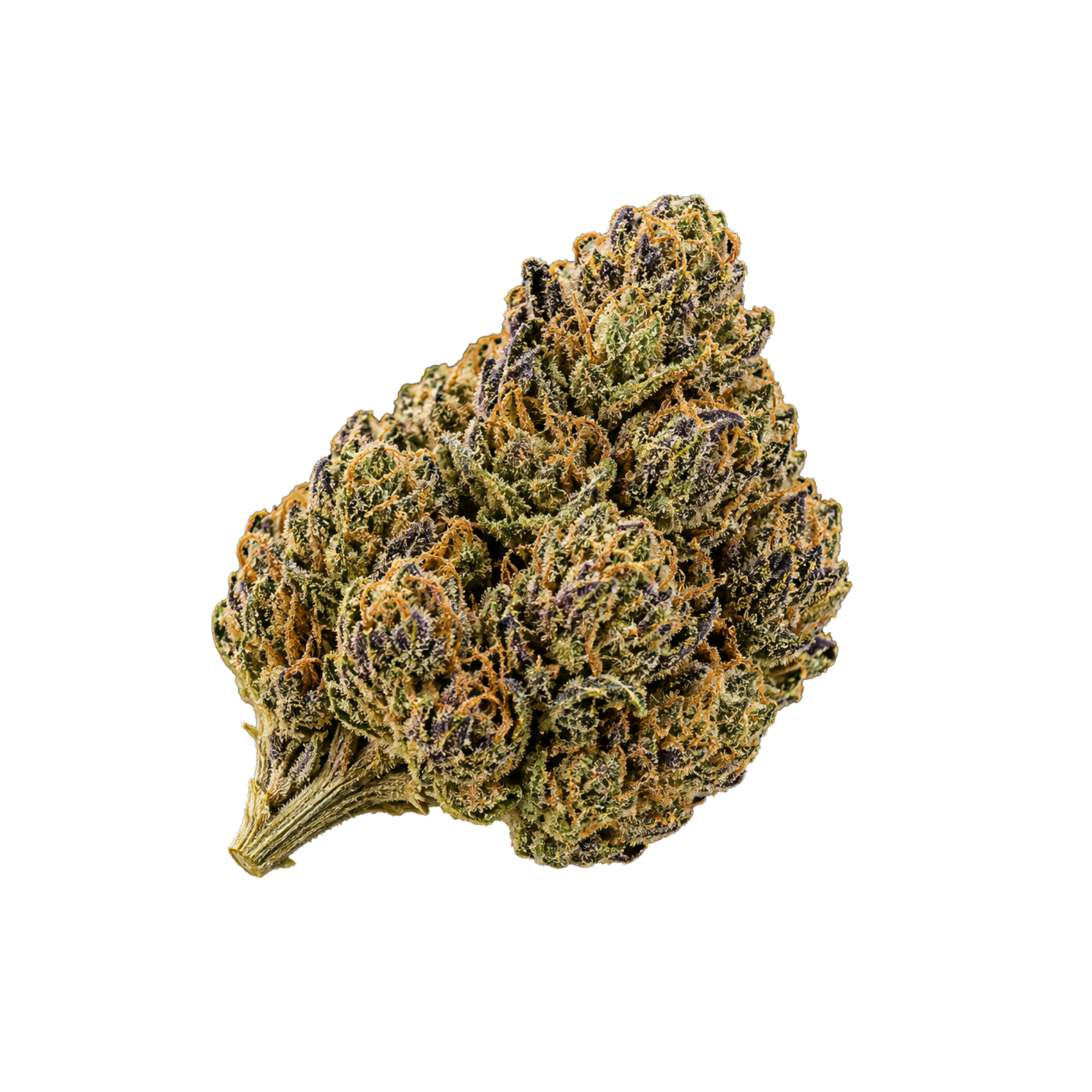 Durban poison