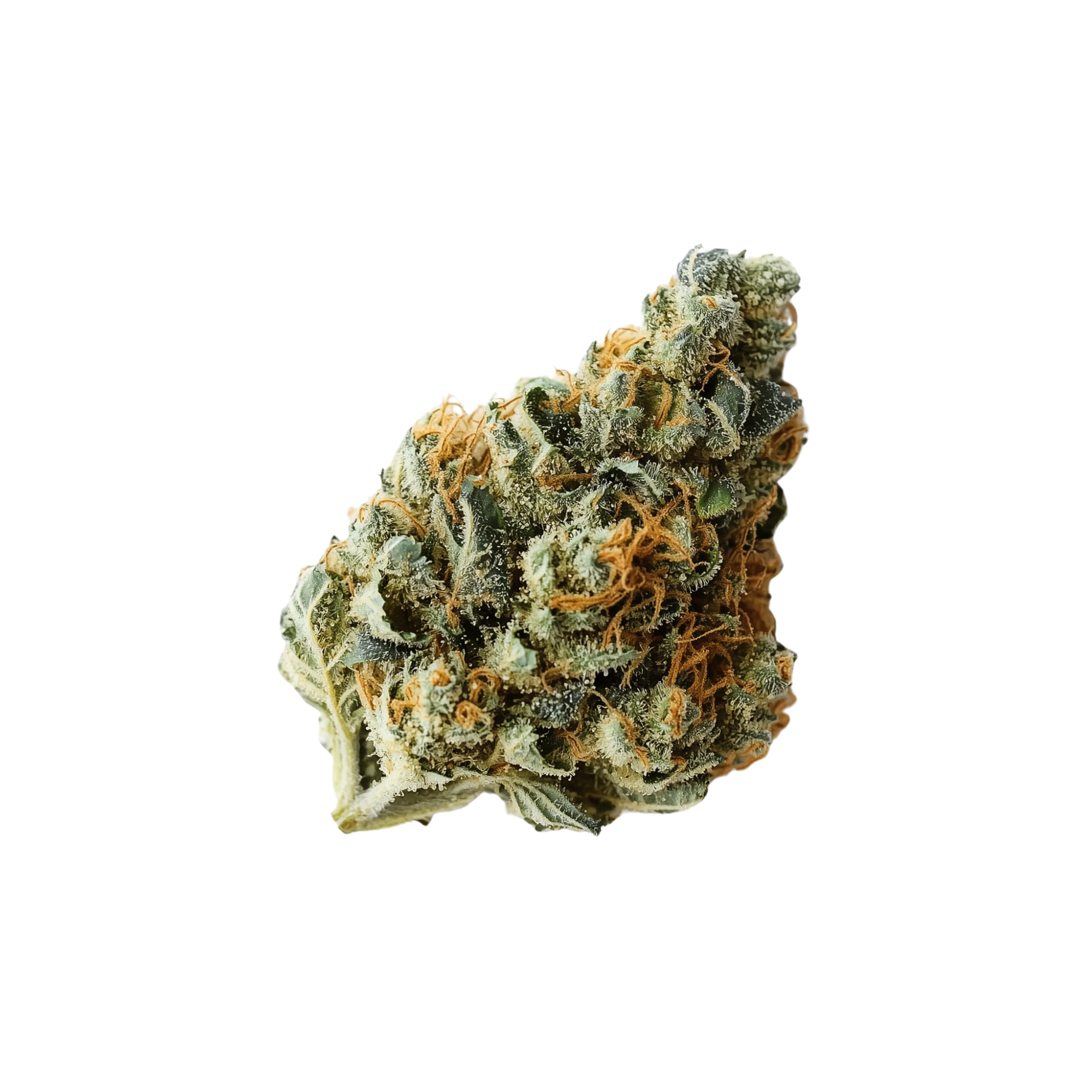 Bananaconda
