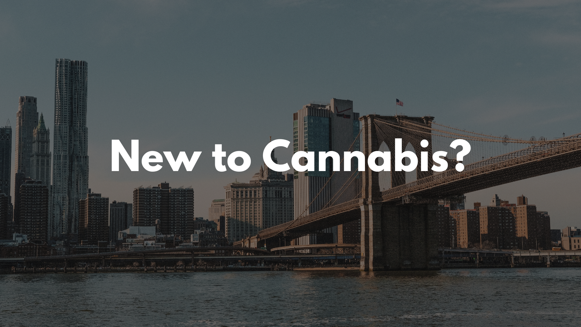 New to Cannabis? How to Buy Cannabis Flower in NY Safely and Confidently 