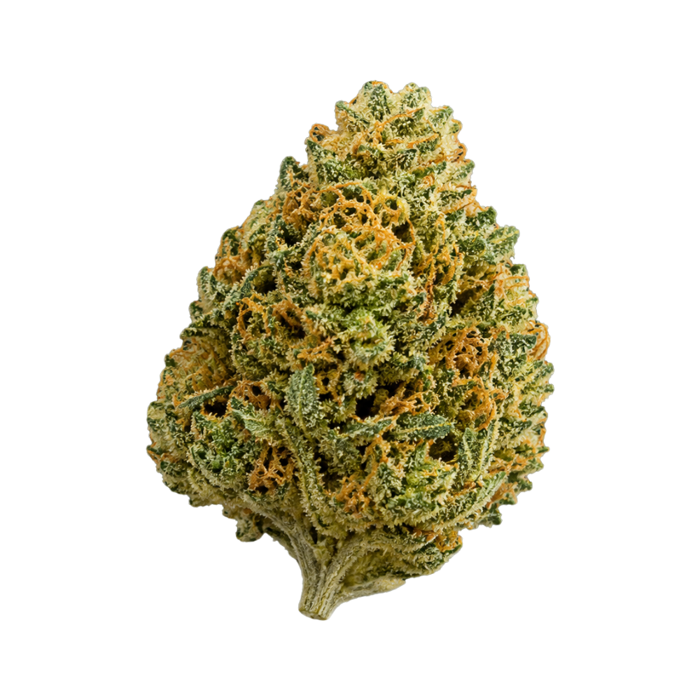 Acapulco Gold