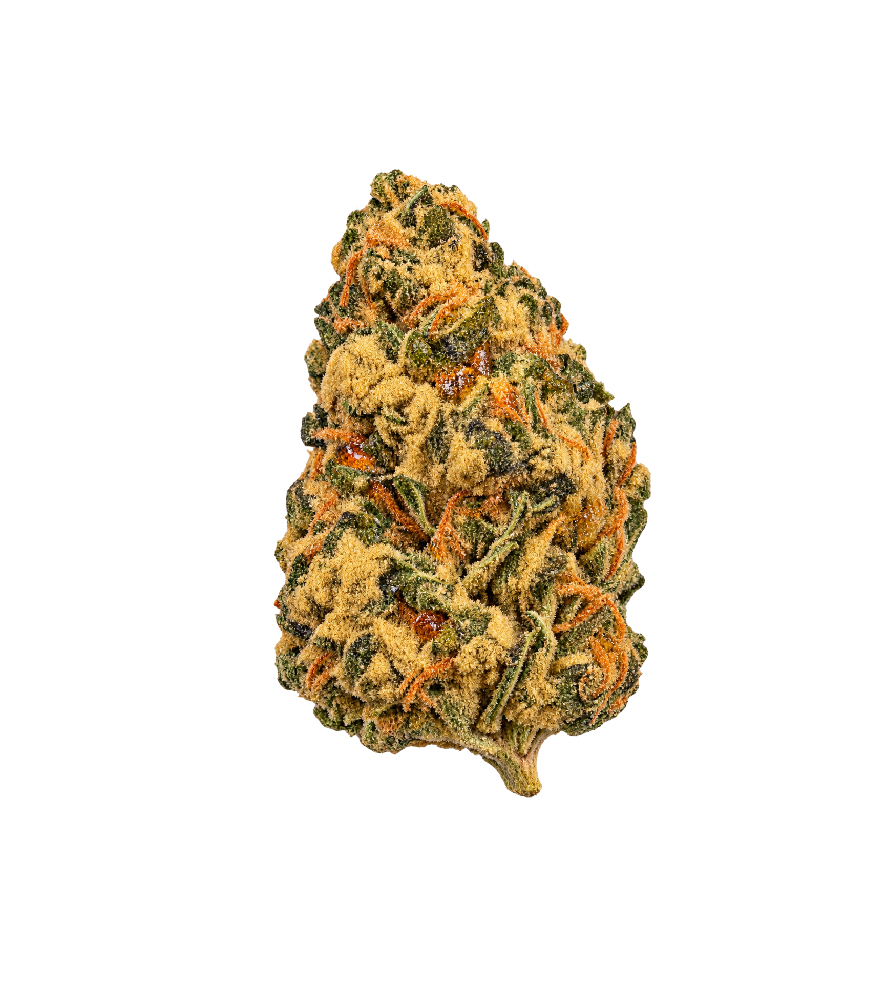 Mango Kush