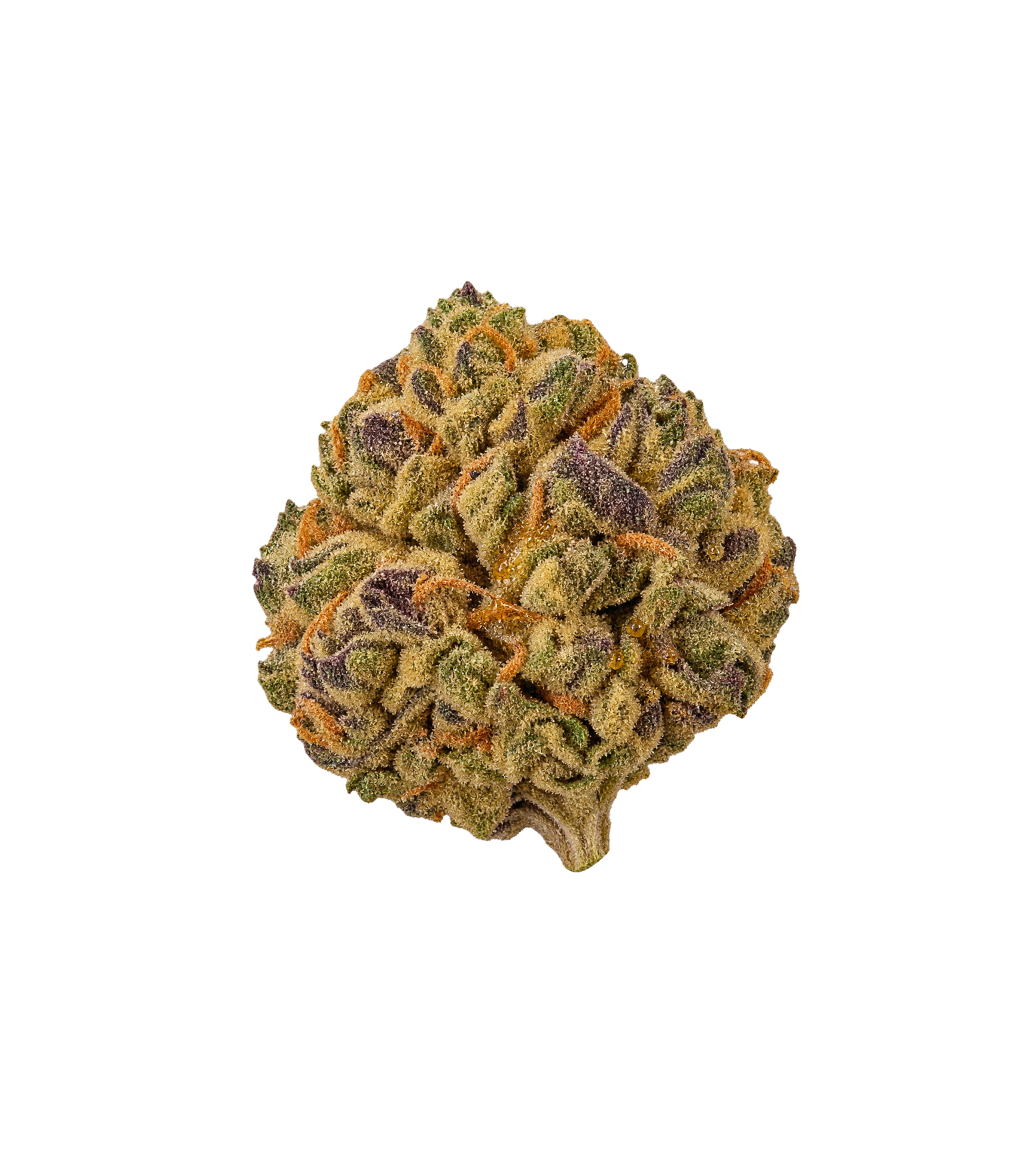 Lemon Cherry Gelato