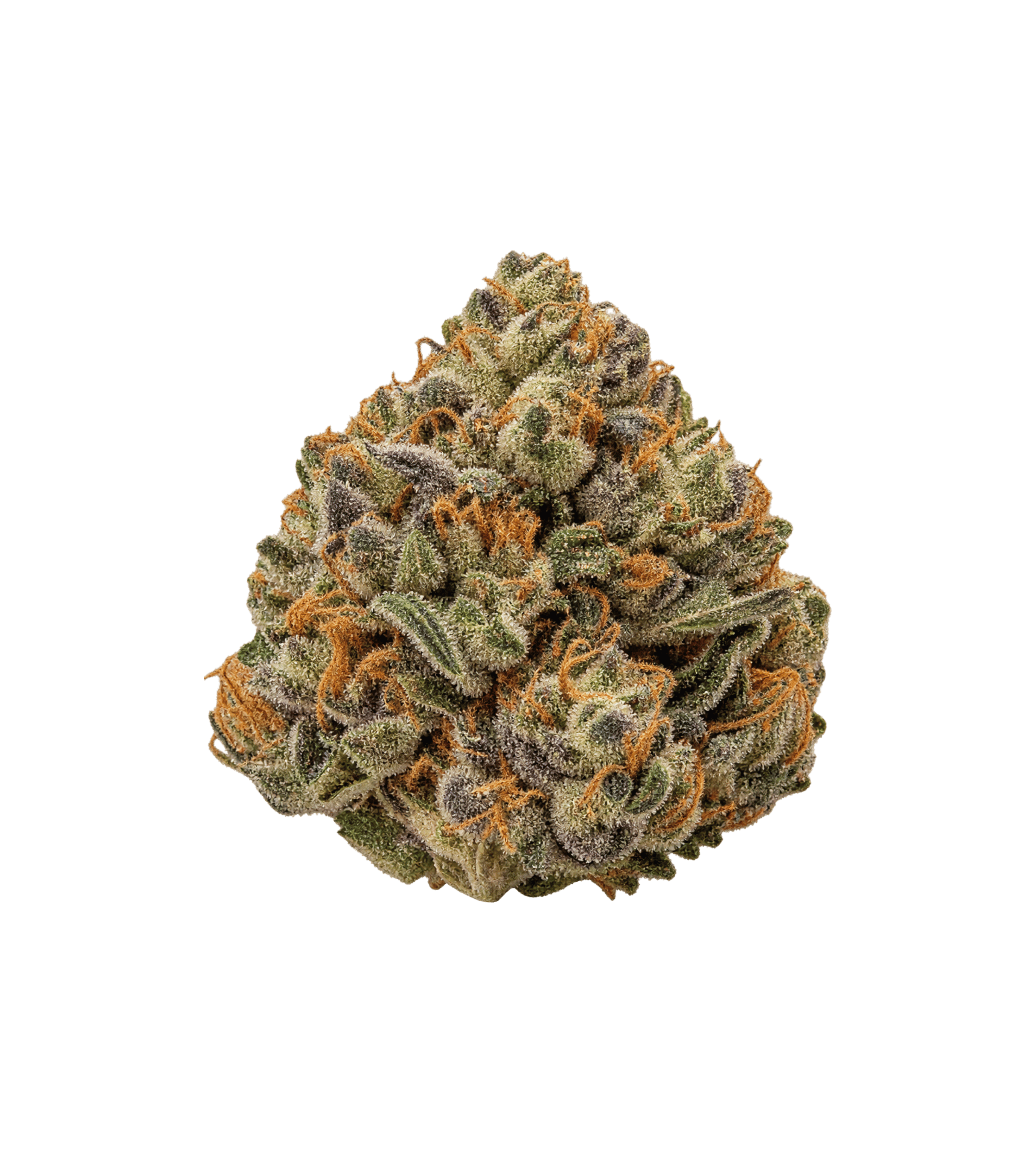 Chronic Kush