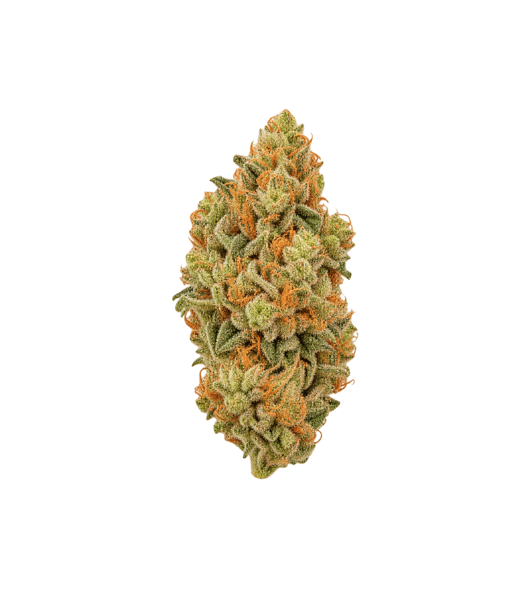 Tangie Haze