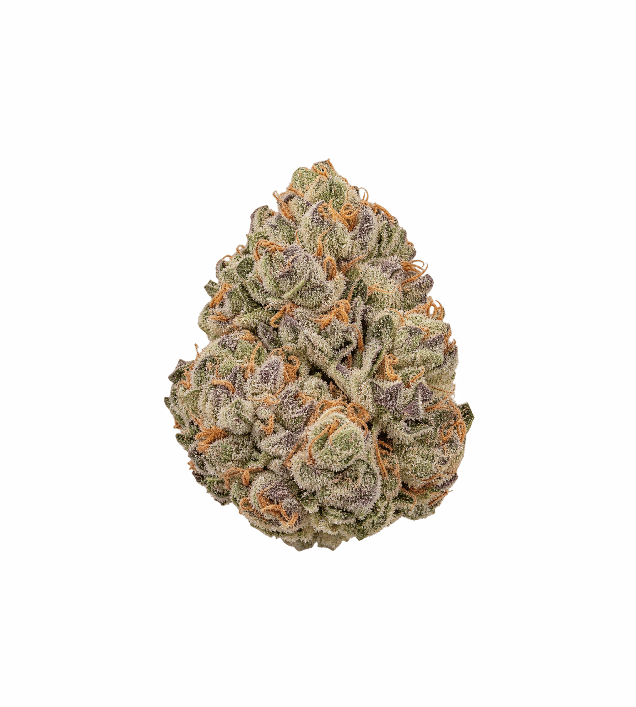Cereal Milk