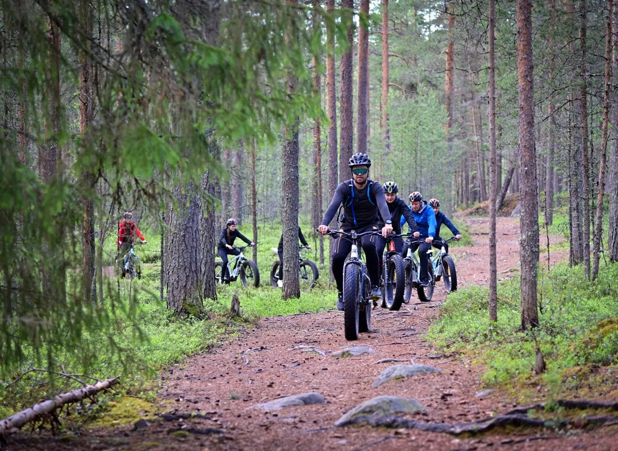 Ryhmä pyöräilijöitä ajamassa metsäpolkua pitkin