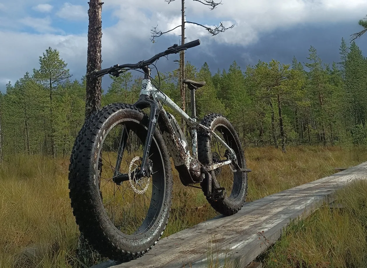 Sähköfatbike nojaamassa puuhun
