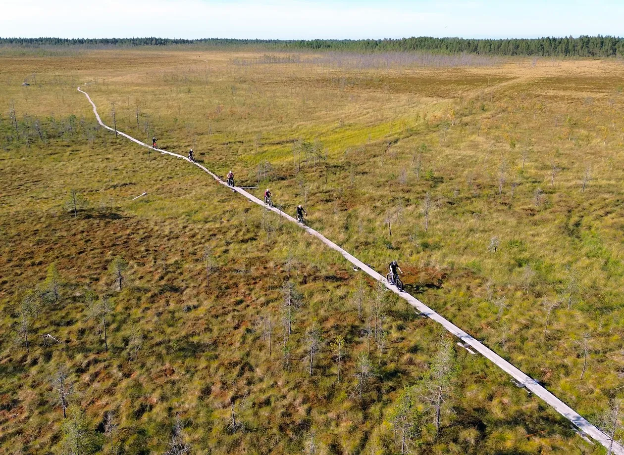 Ryhmä sähköfatbikesafarilla pyöräilemässä pitkospuita pitkin