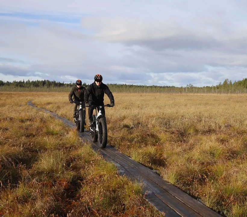 Sähköfatbikesafaria ajavia henkilöitä ajamassa sähköpyörillä