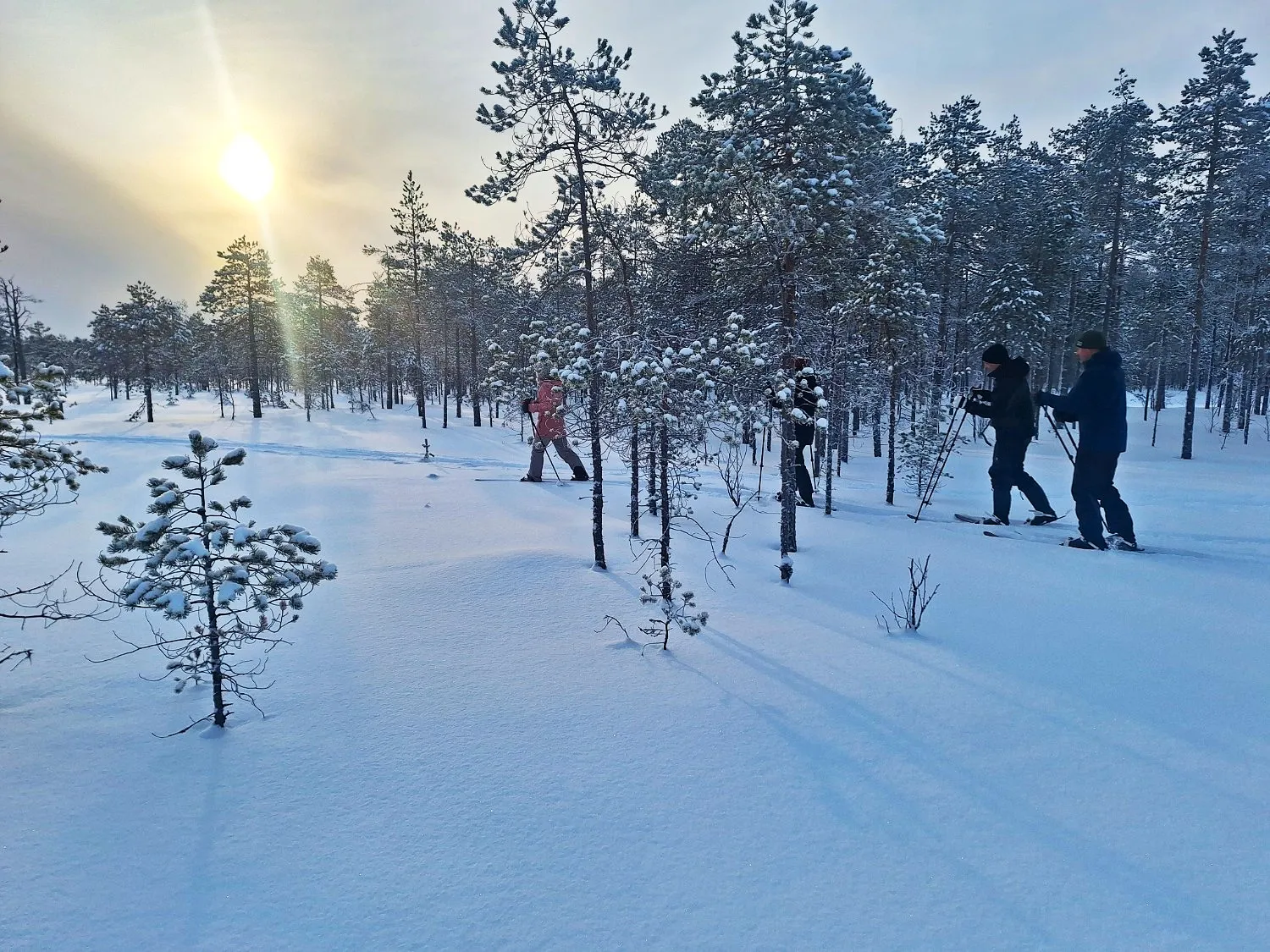 Ryhmä pyöräilijöitä ajamassa metsäpolkua pitkin