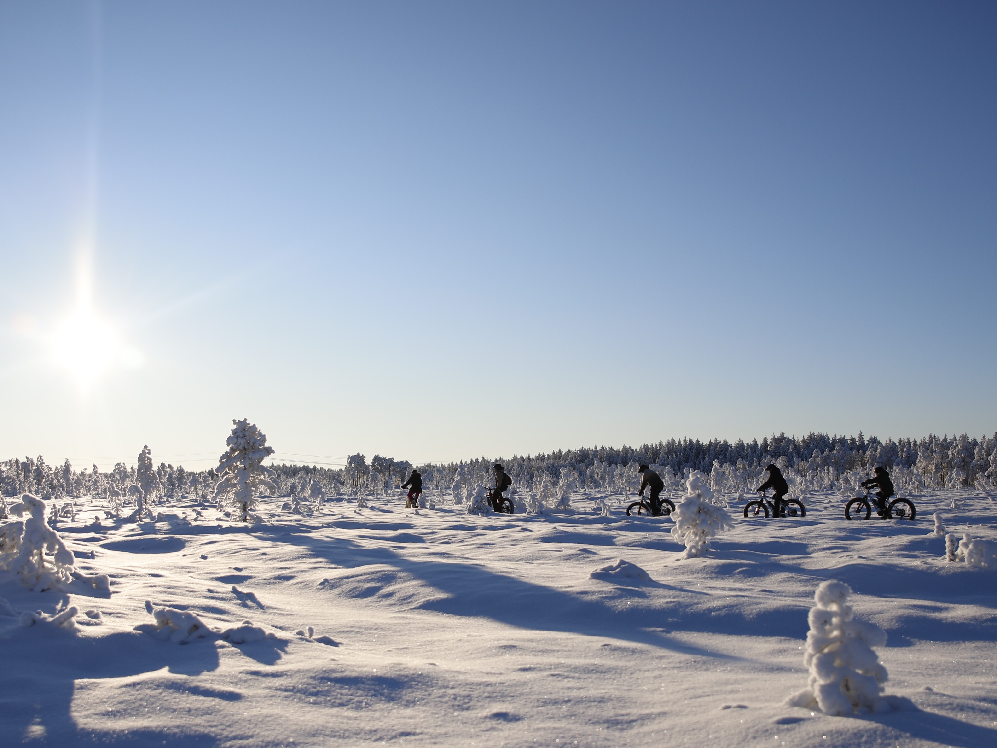 Ryhmä pyöräilijöitä ajamassa metsäpolkua pitkin