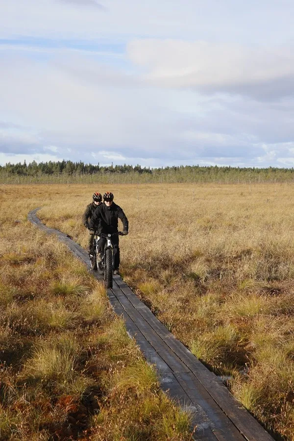 Ryhmä ihmisiä ajamassa sähköfatbikeilla metsäpolulla