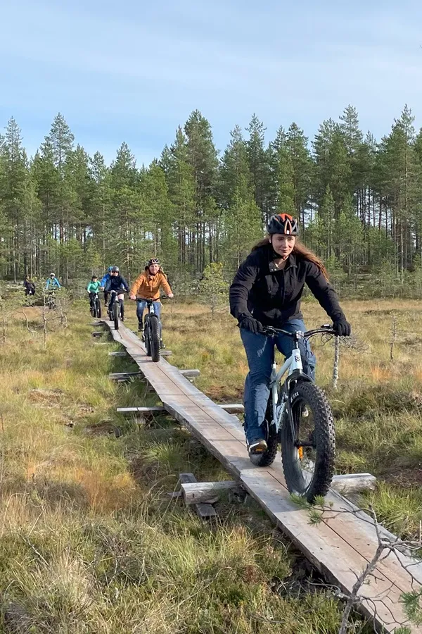 Sähköfatbike-polkupyöriä rivissä