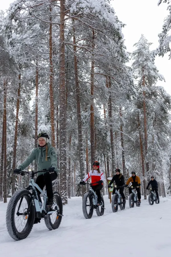 Sähköfatbike-polkupyöriä rivissä