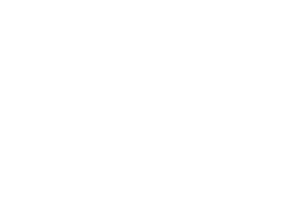 MSN logo