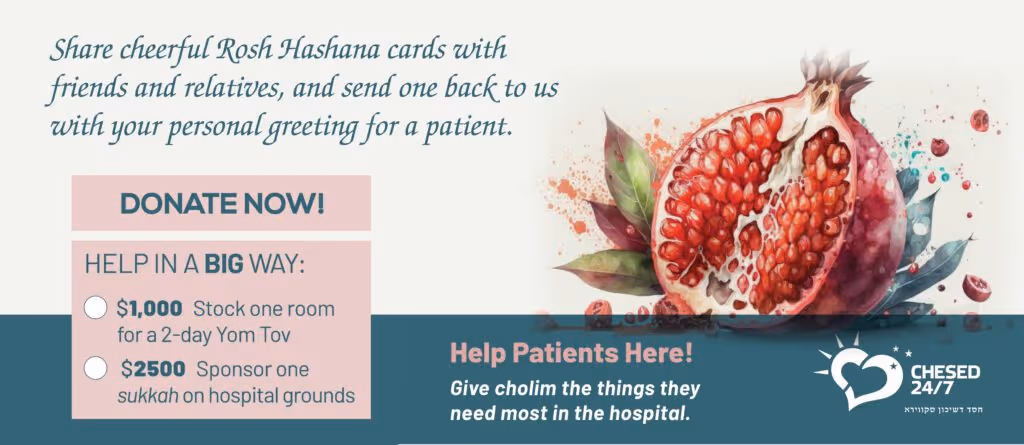 Illustration of a pomegranate with Rosh Hashana campaign text encouraging donations to support Yom Tov needs for hospital patients.