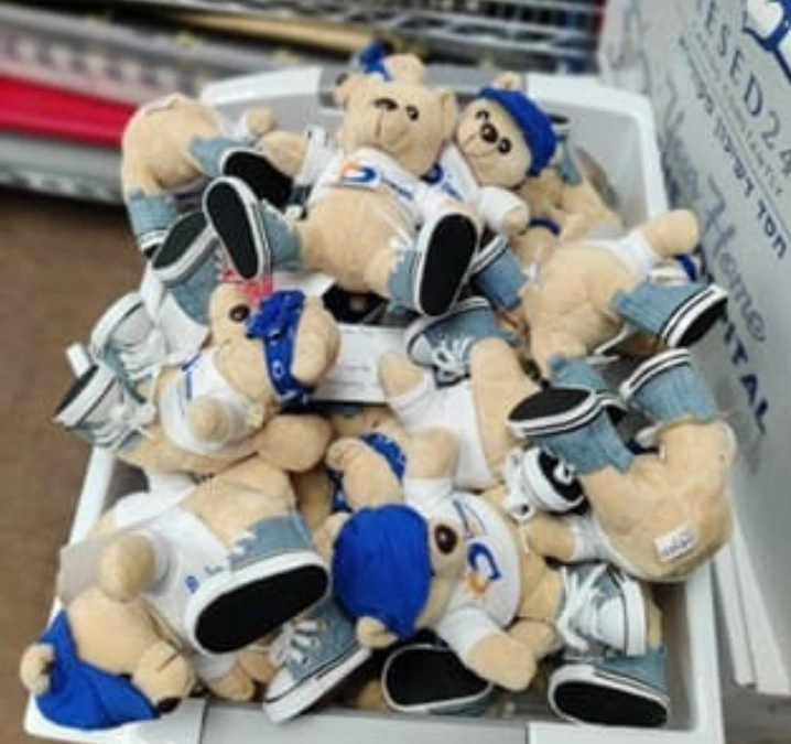 Chesed247 Teddys in a Box