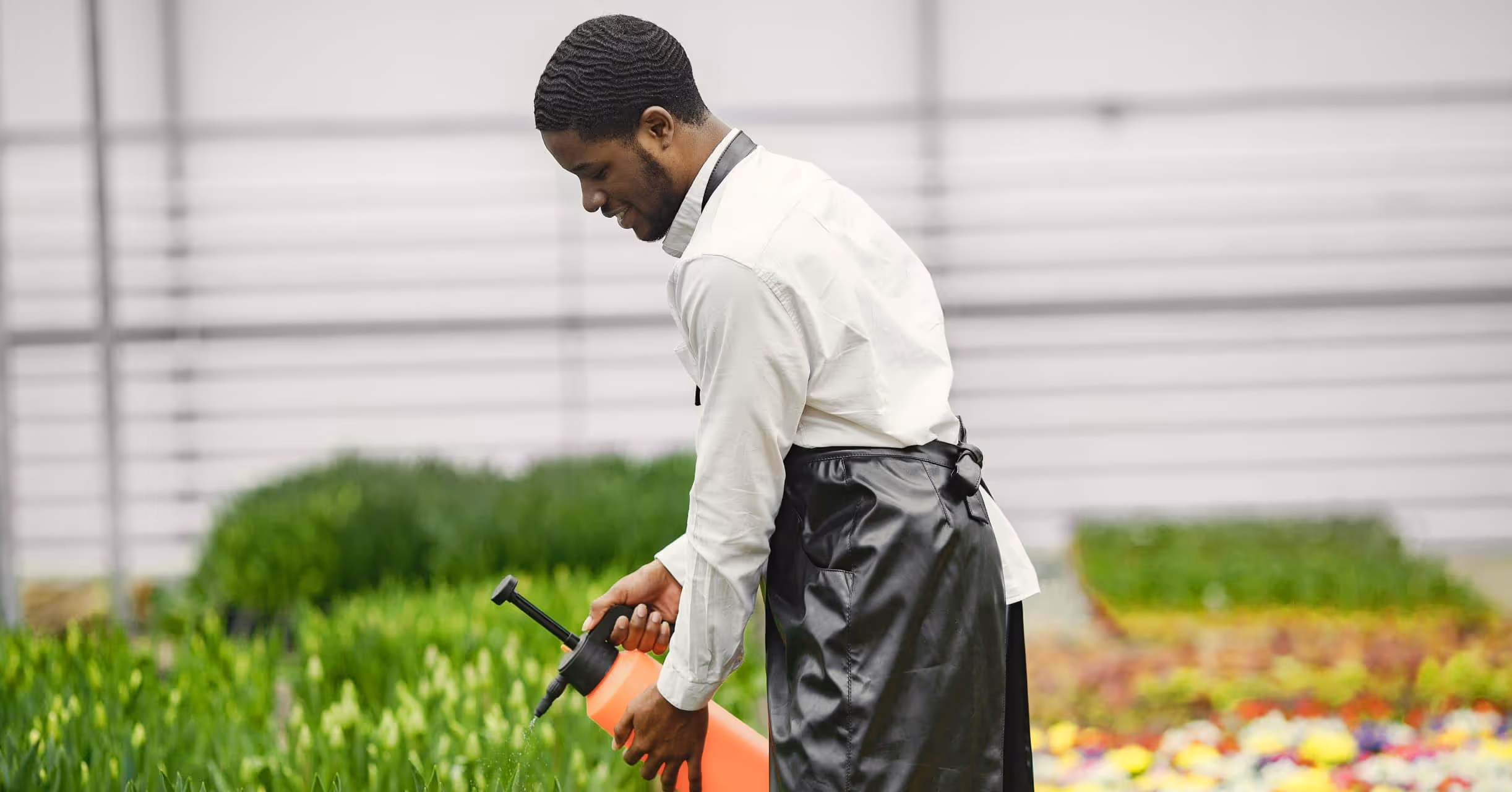 Gardening for health: The benefits of growing your food
