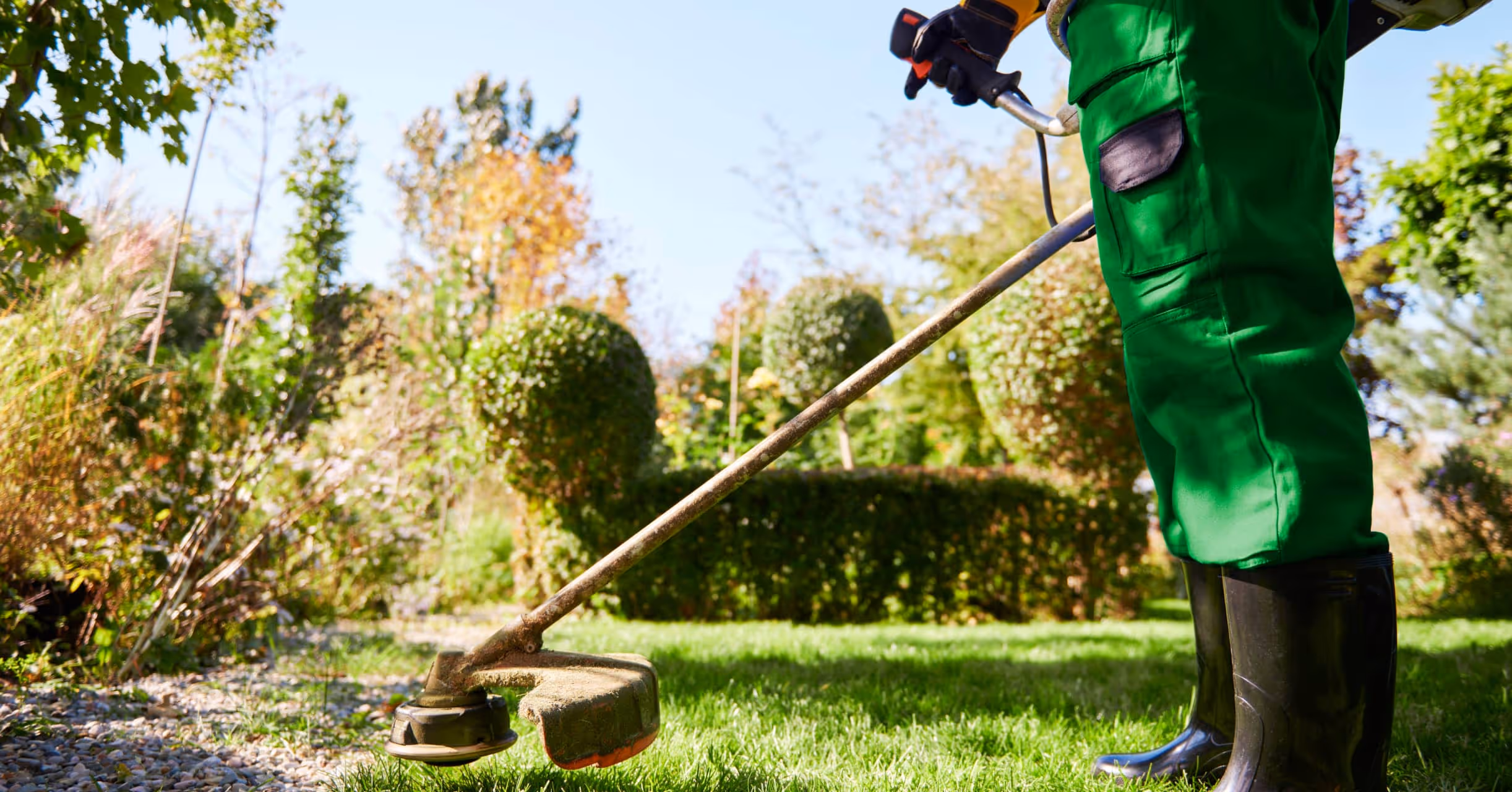 Gardening basics: The whole basic guide to follow