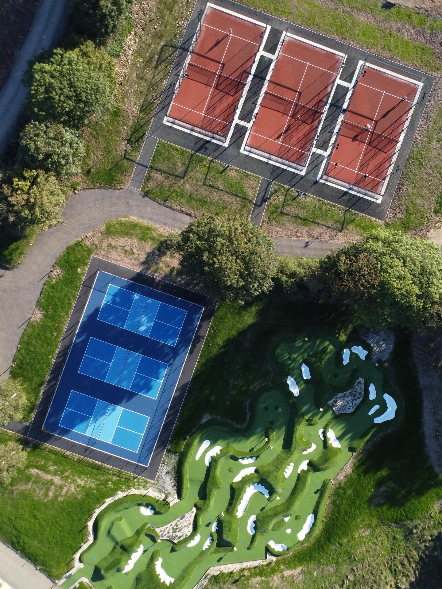 Mad Swans in The Mendips