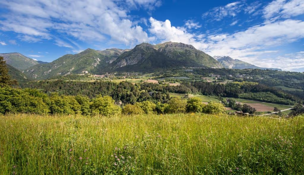 VitalHotelFlora-Italy-2-Stenico-property1.jpg