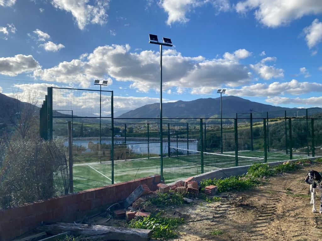 alora-mountain-views-padel villa-spain-1-padel-courts--andalusia-court4.jpg