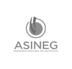 Asineg