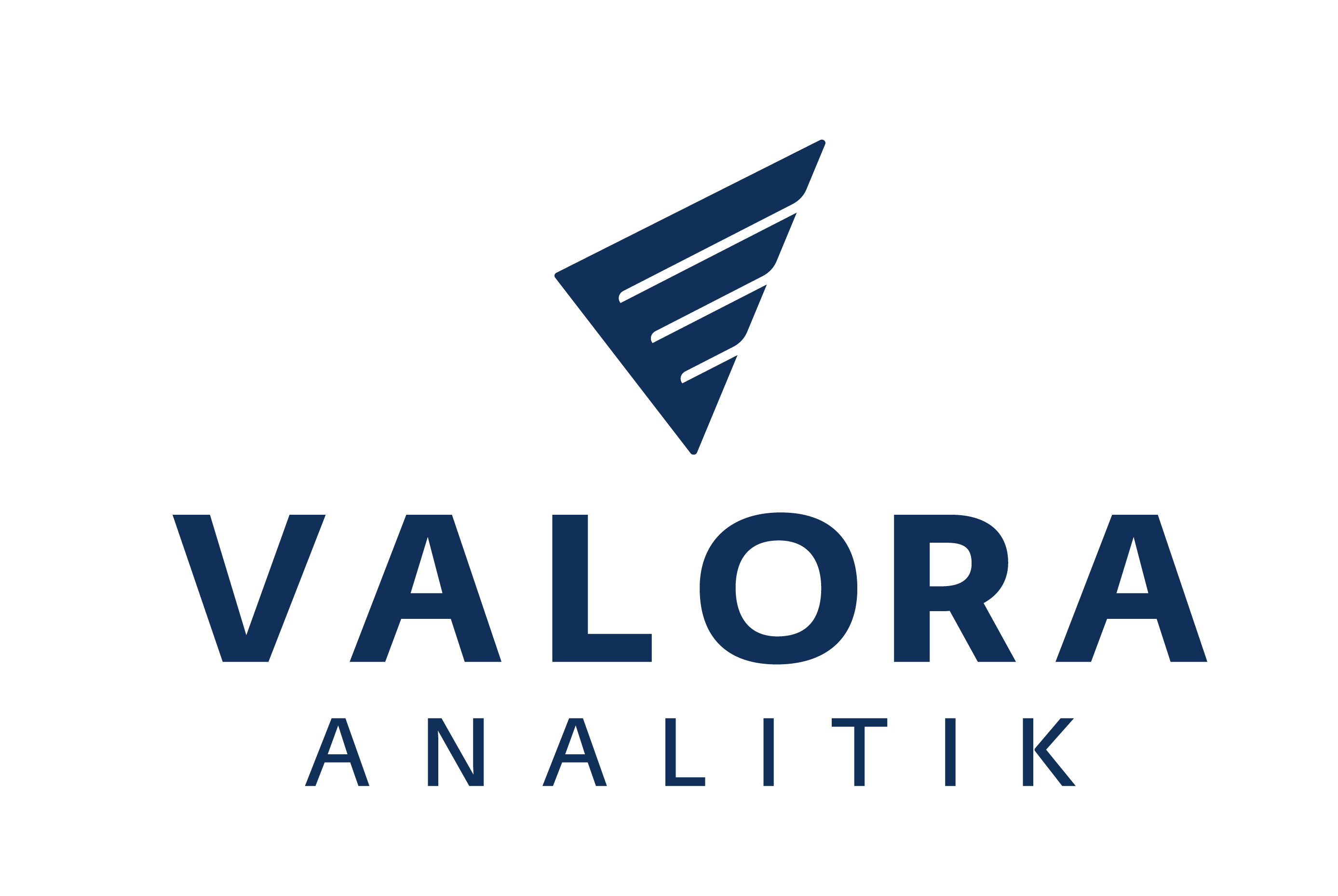 Valor Analitik
