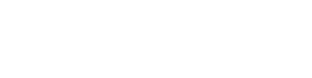 Naveo Commerce Logo