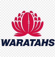 waratahs