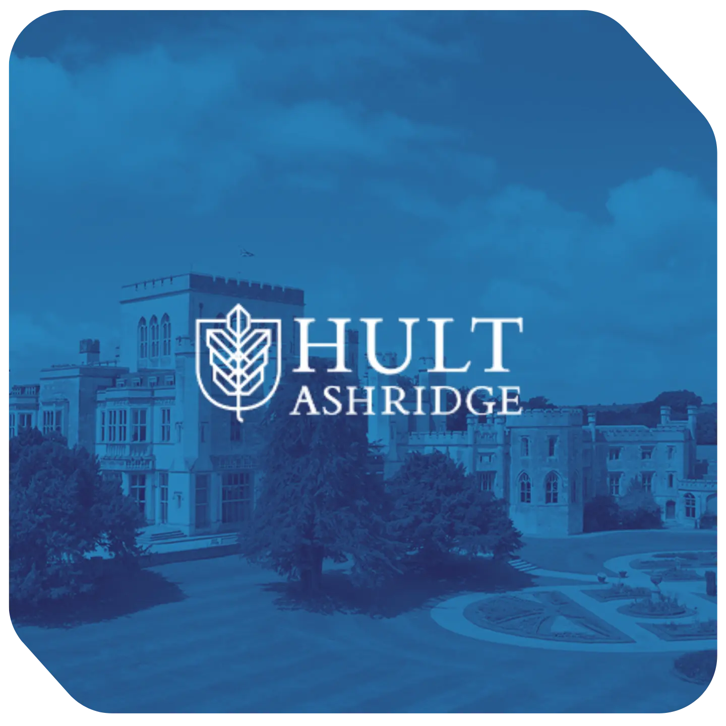 Digital transformation for global business school