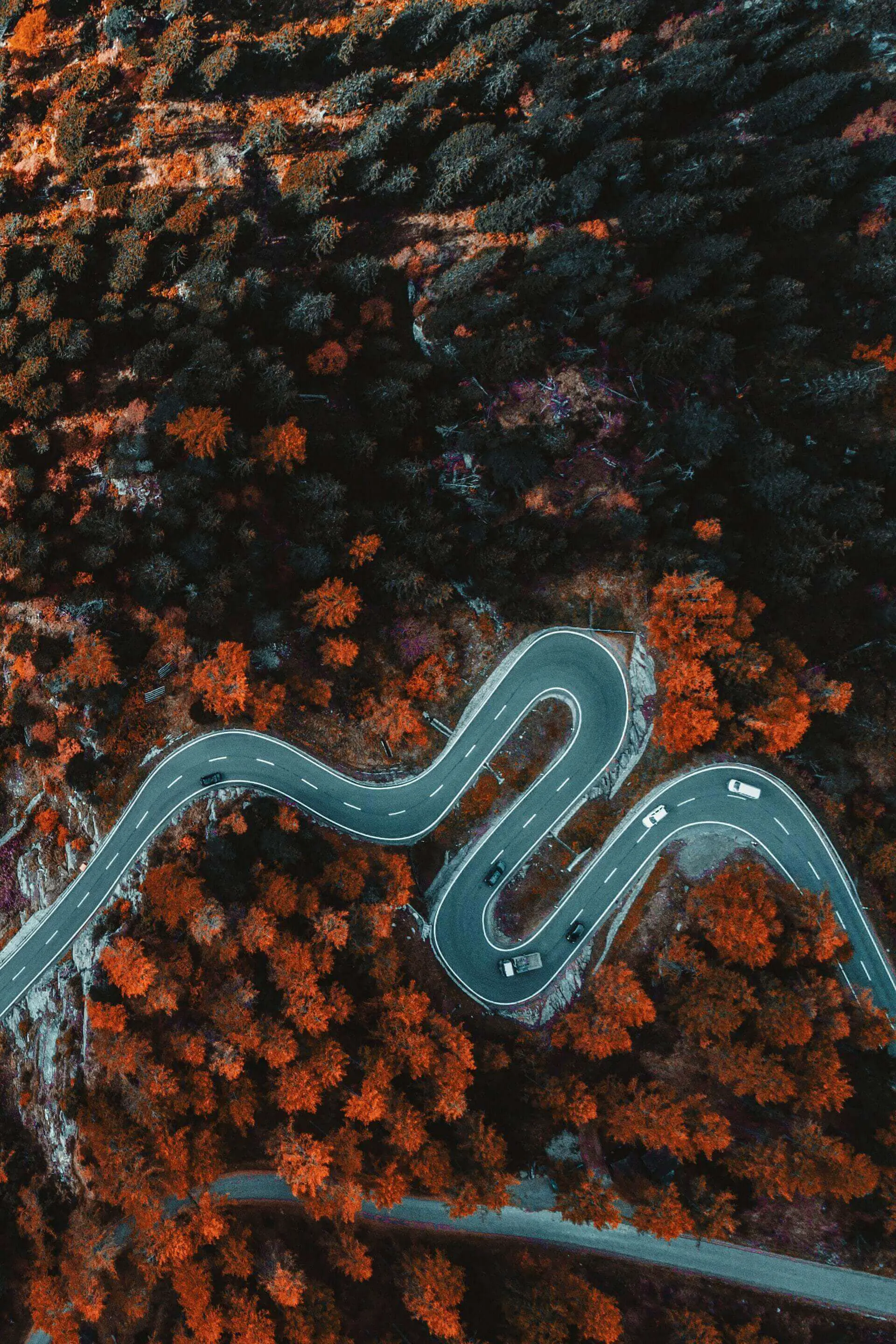 Designing a roadmap that speaks to your whole team