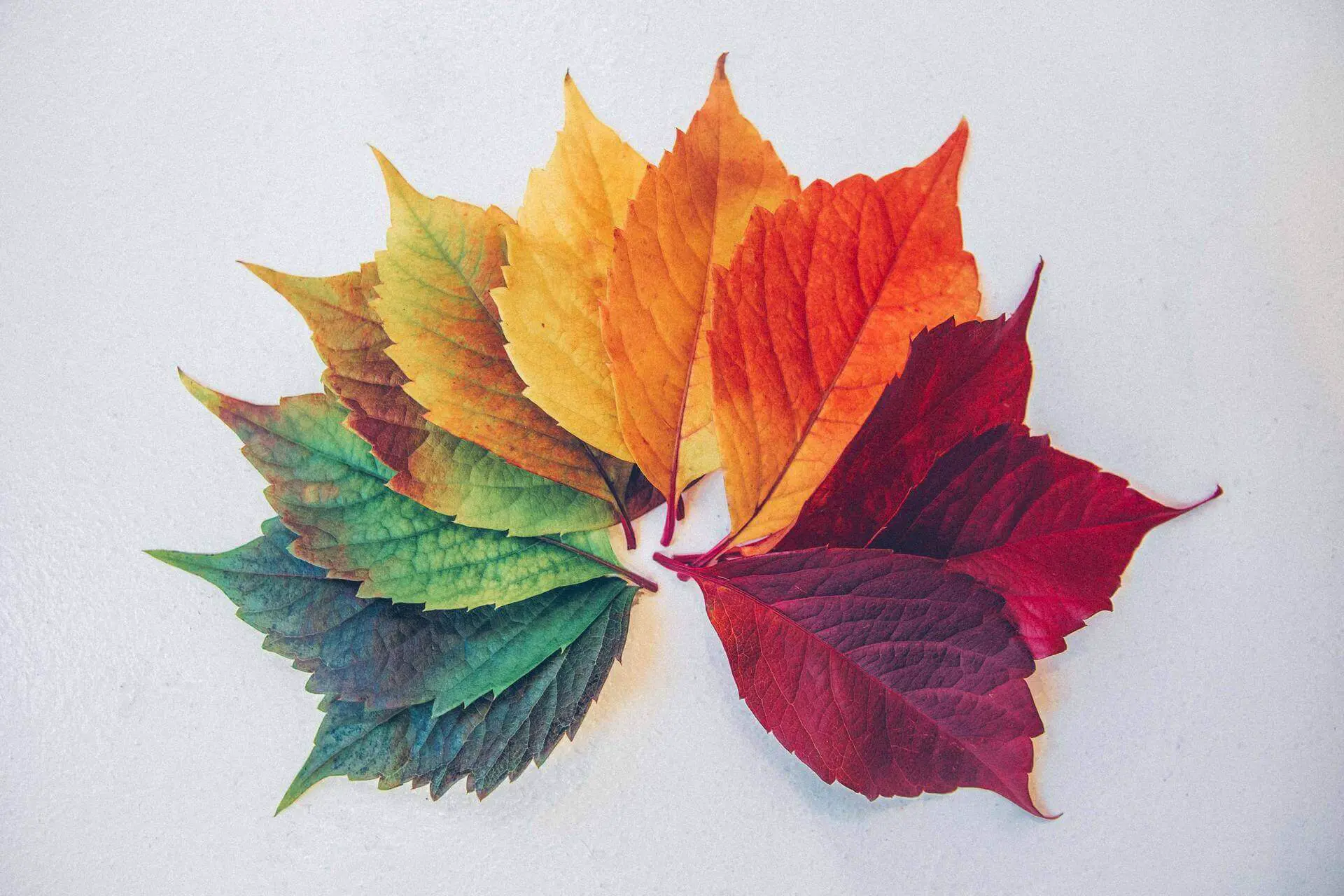 Why we should embrace change within projects