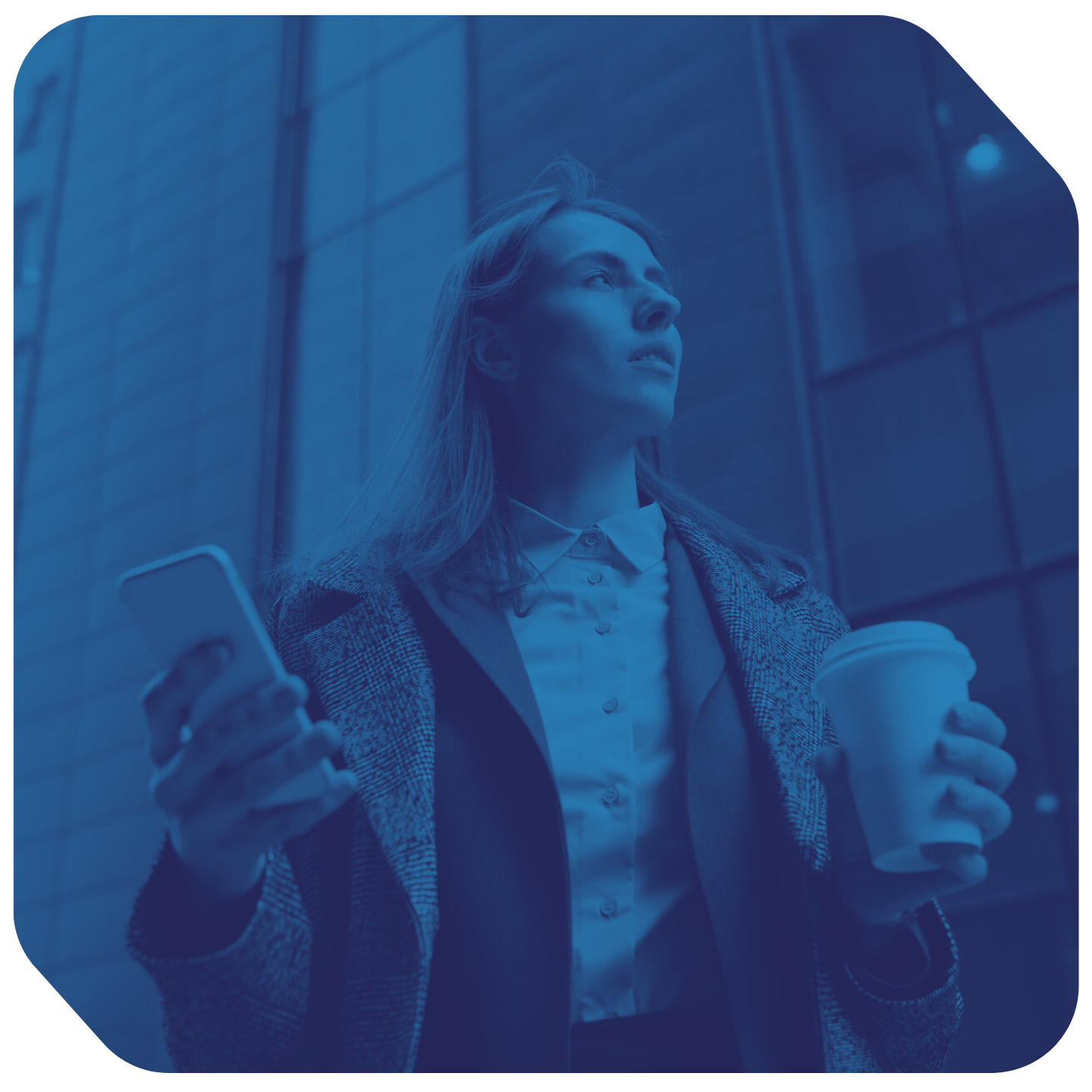 How a 14-day assessment saved a professional services firm from a six-figure mistake