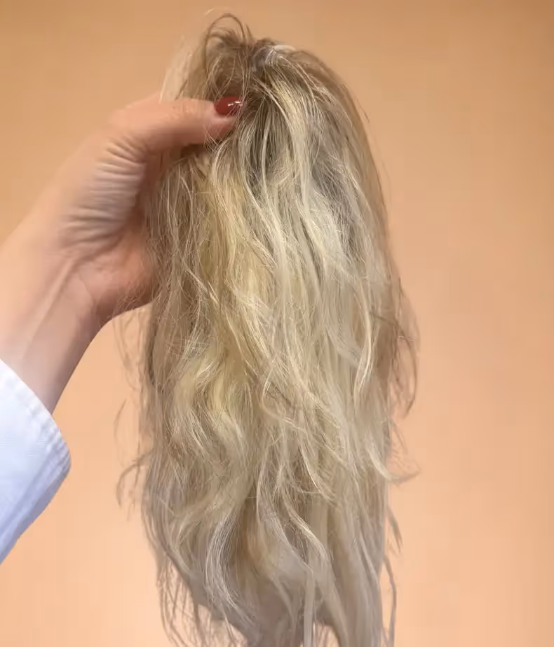 פאה צבע פלטין