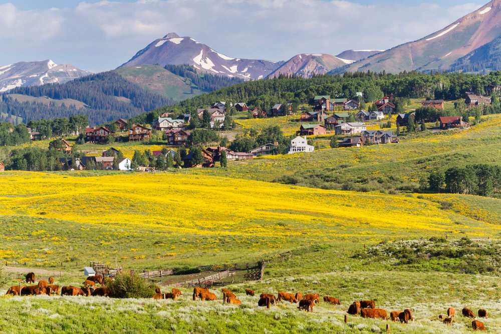 Local Internet Service Provider in Colorado