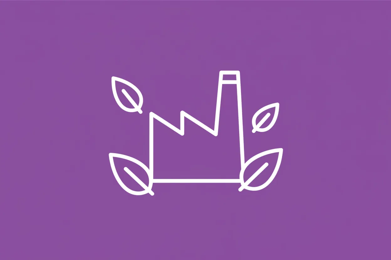 What is ISO 14001 environmental management systems?