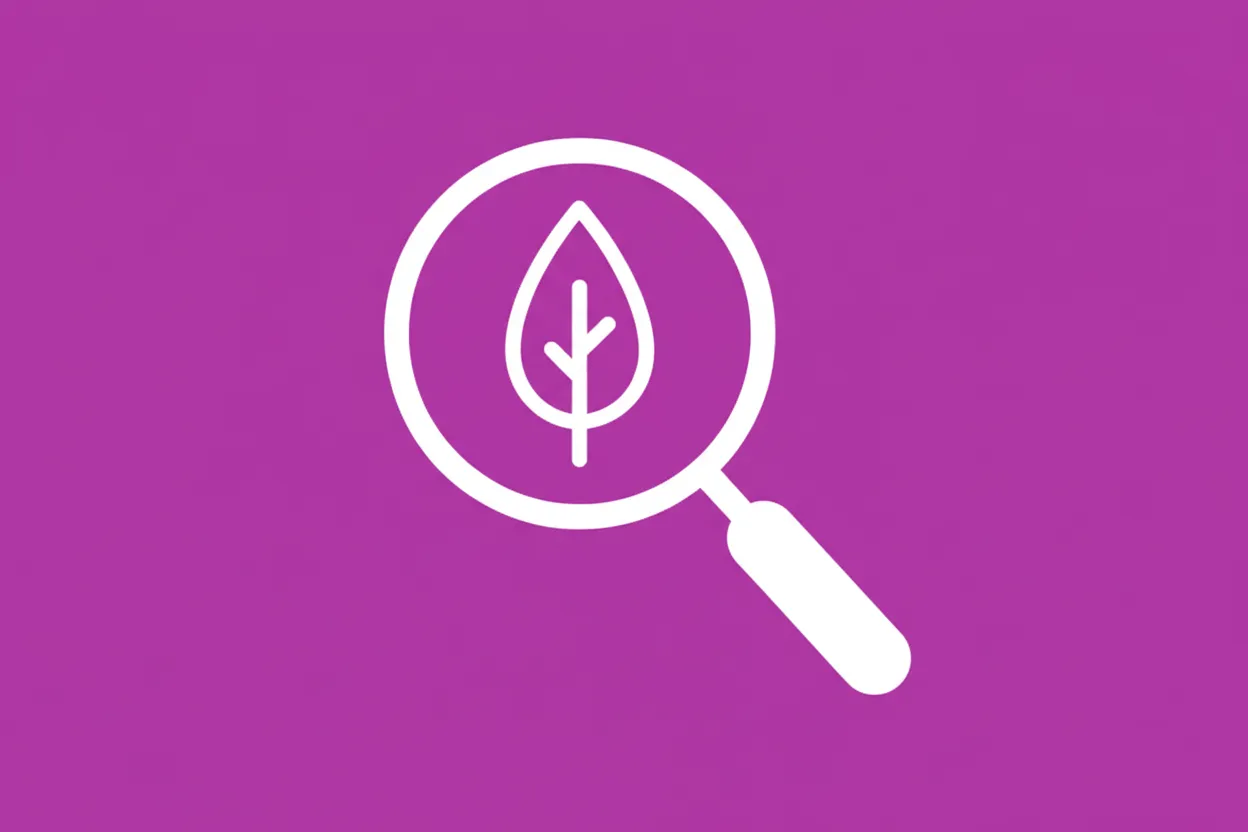 What is conformity assessment?