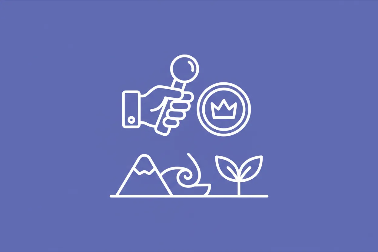 What is a competent authority?