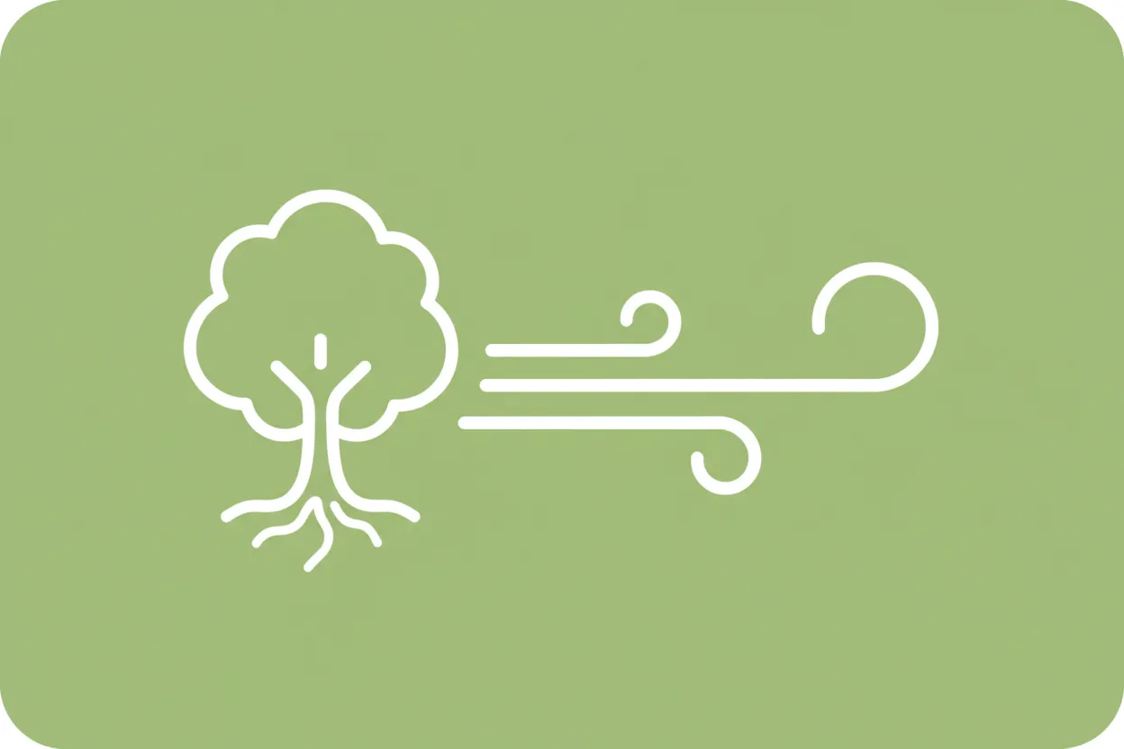 What is carbon offsetting?