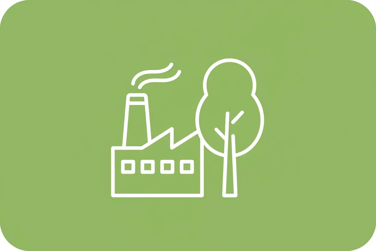 What are carbon credits?